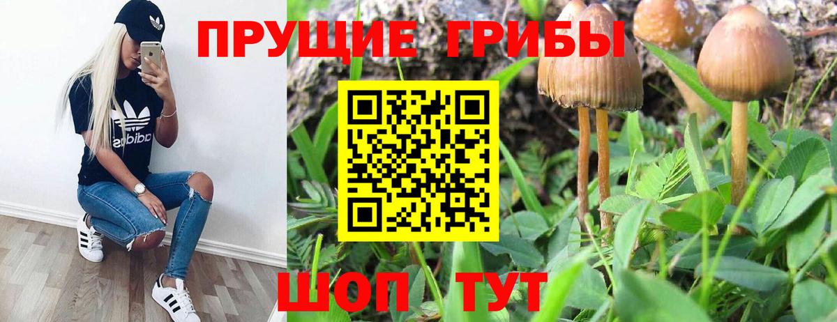 Костомукша  Псилоцибиновые грибы ЛСД  Вход с VPN  хочу   Псилоцибиновые грибы мухоморы 